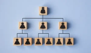 How to create it ecommerce team structure