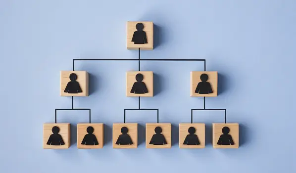 How to create it ecommerce team structure
